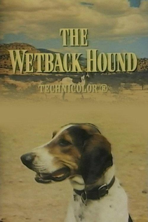 The Wetback Hound 1957 official movie poster