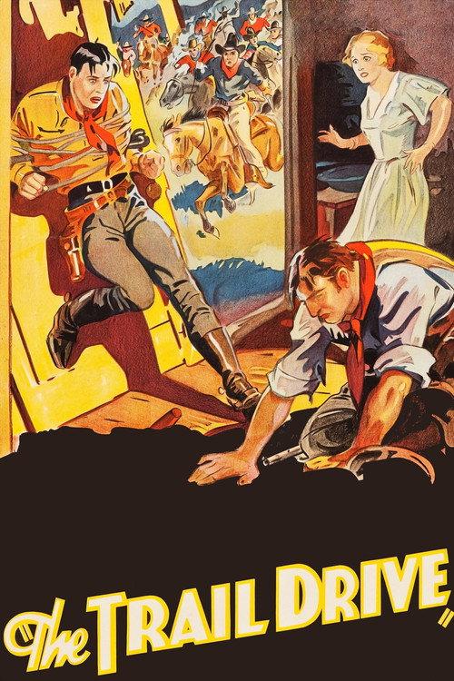 The Trail Drive 1933 official movie poster