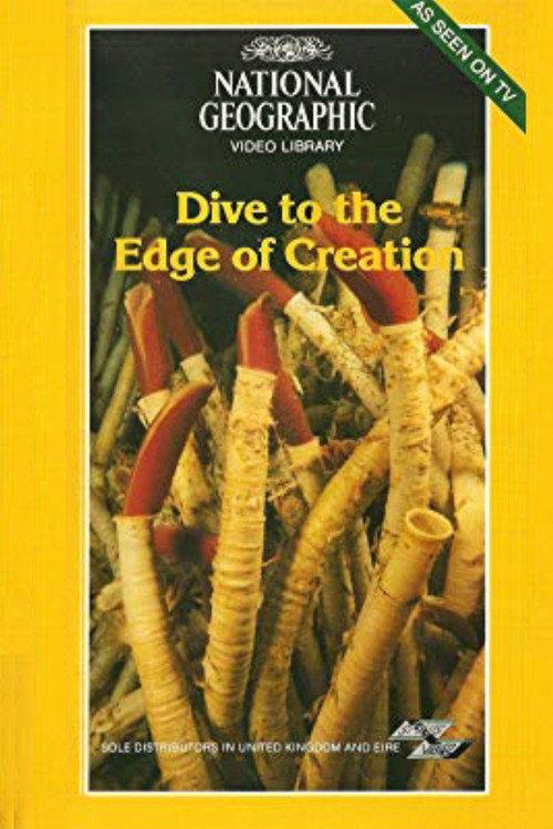 Dive to the Edge of Creation 1980 official movie poster