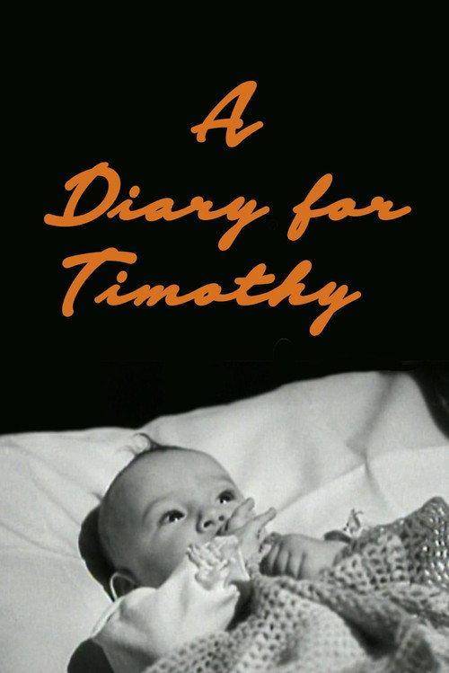 A Diary for Timothy 1945 official movie poster