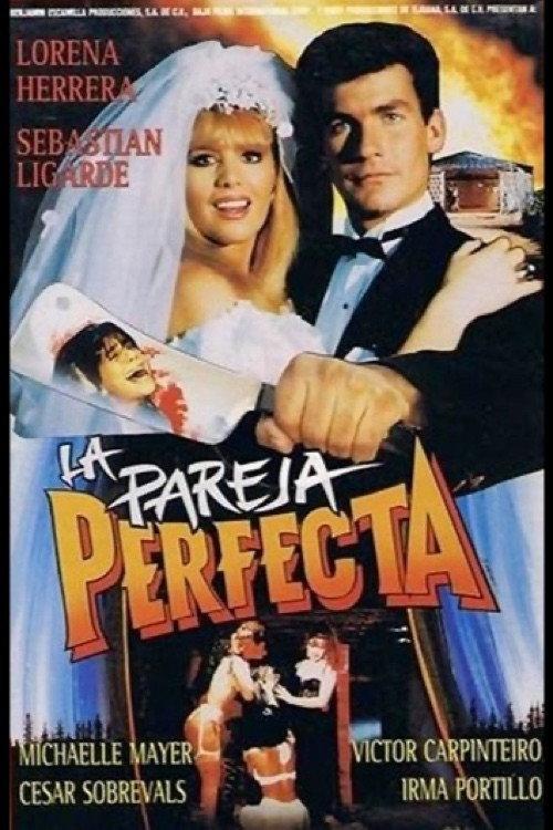 The Perfect Couple 1991 official movie poster