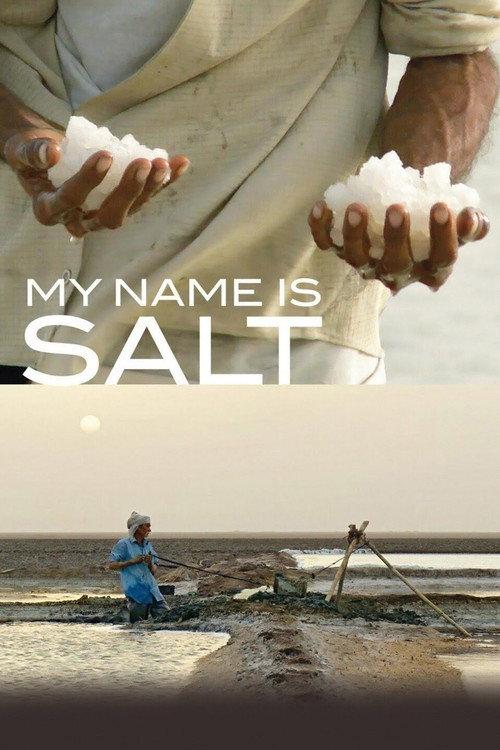 My Name Is Salt 2013 official movie poster