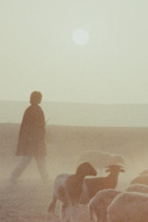 Woman is Sweeter 1973 official movie poster
