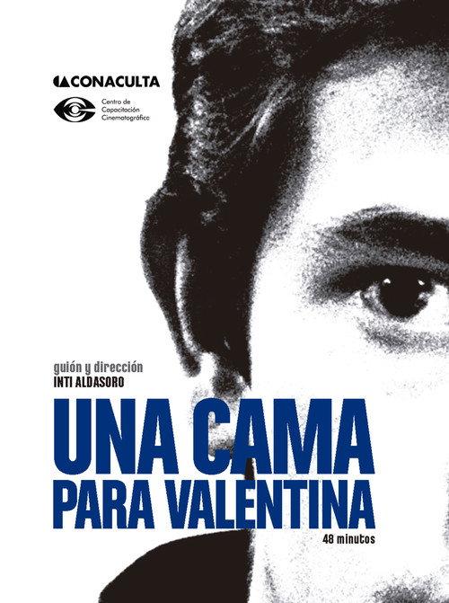 Una cama para Valentina 2011 official movie poster