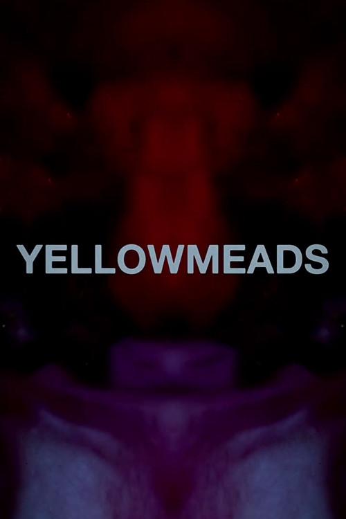 Yellowmeads 2024 official movie poster