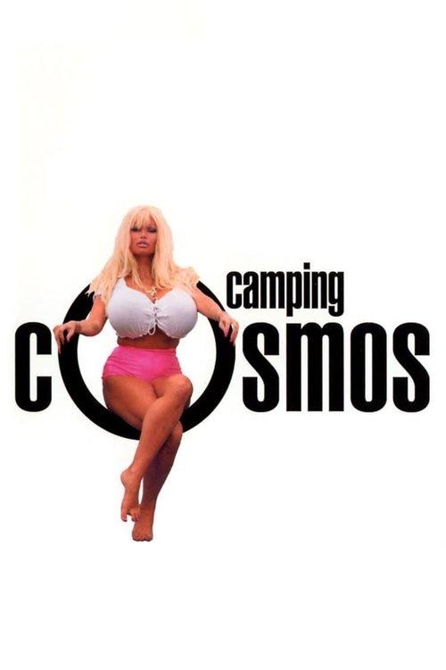 La Vie sexuelle des Belges partie 2 - Camping Cosmos 1996 official movie poster