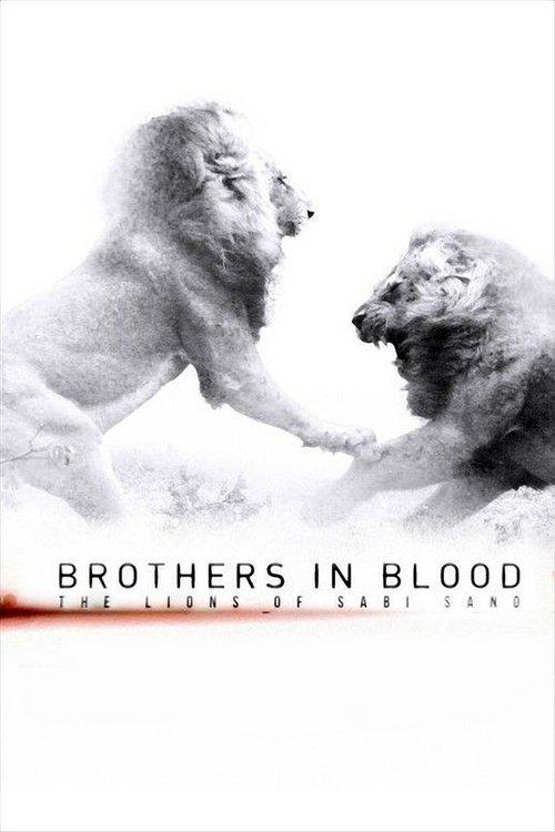 Brothers in Blood: The Lions of Sabi Sand 2015 official movie poster