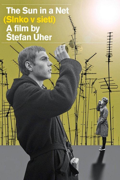 The Sun in a Net 1963 official movie poster