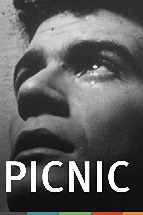 Picnic 1949 official movie poster