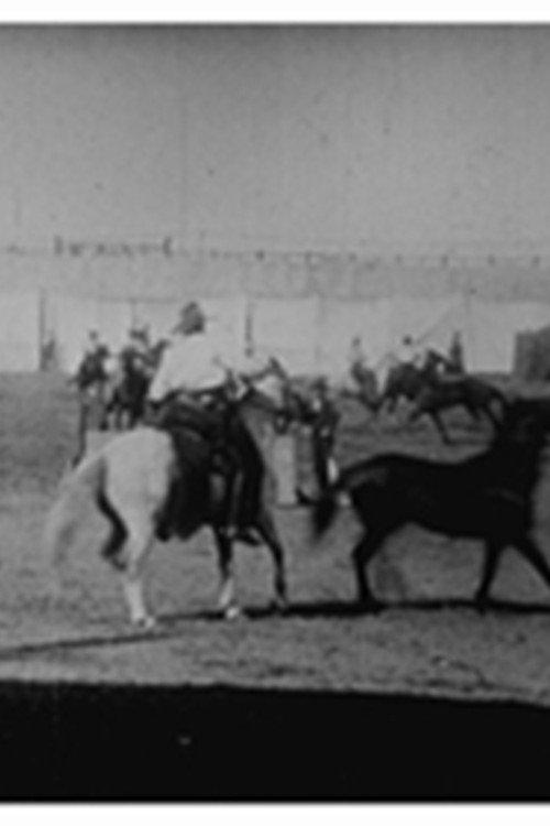 Buffalo Bill: lassage de chevaux 1897 official movie poster