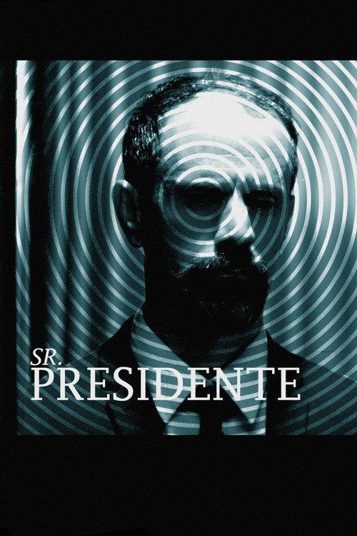 Sr. Presidente official movie poster