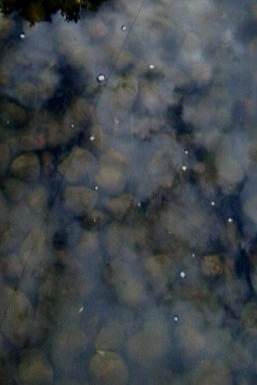 Drops on Marble 2003 official movie poster