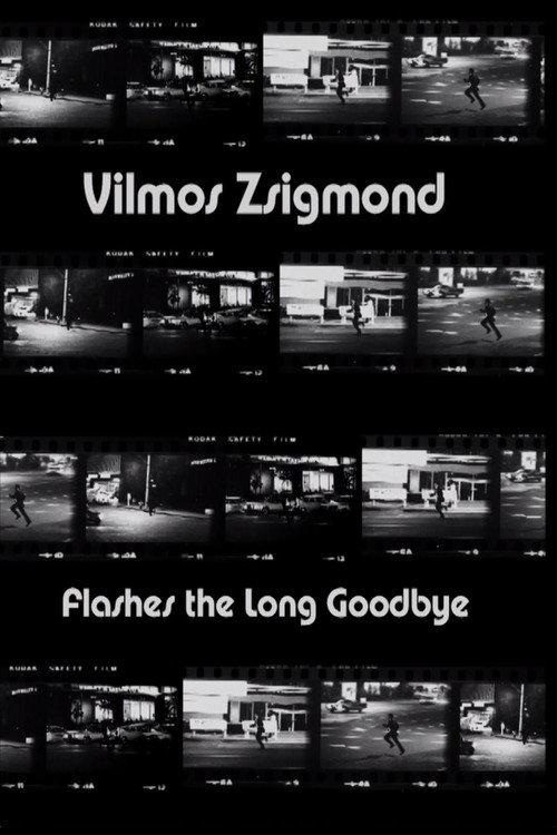 Vilmos Zsigmond Flashes 'The Long Goodbye' 2002 official movie poster