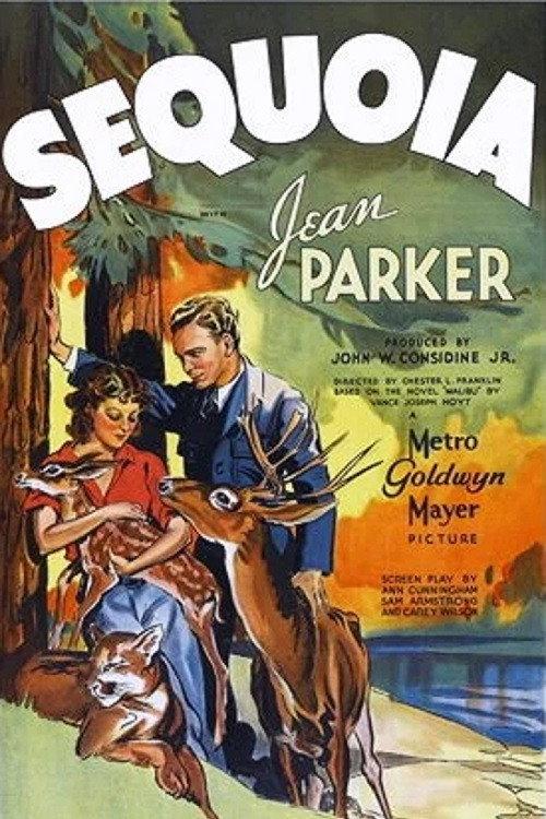 Sequoia 1935 official movie poster
