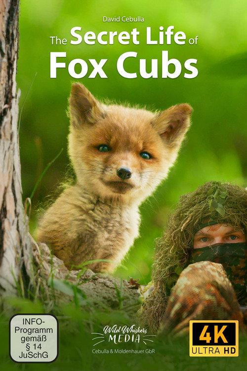 The Secret Life of Fox Cubs 2026 official movie poster