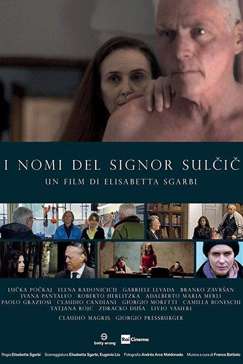 The Names of Mr. Sulcic 2019 official movie poster