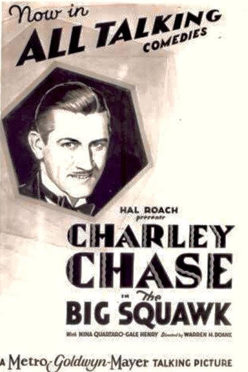 The Big Squawk 1929 official movie poster