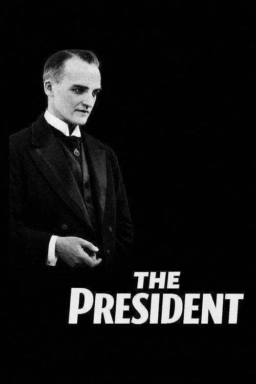 The President 1919 official movie poster