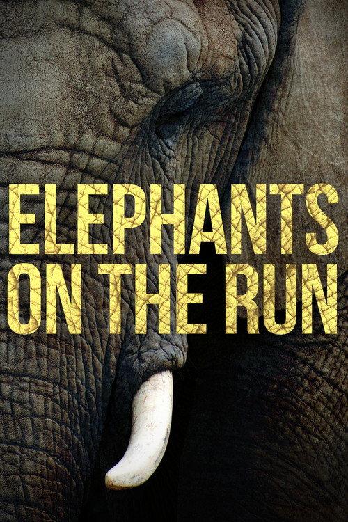Elephants on the Run official movie poster