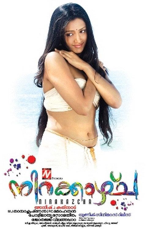 Nirakazhcha 2010 official movie poster