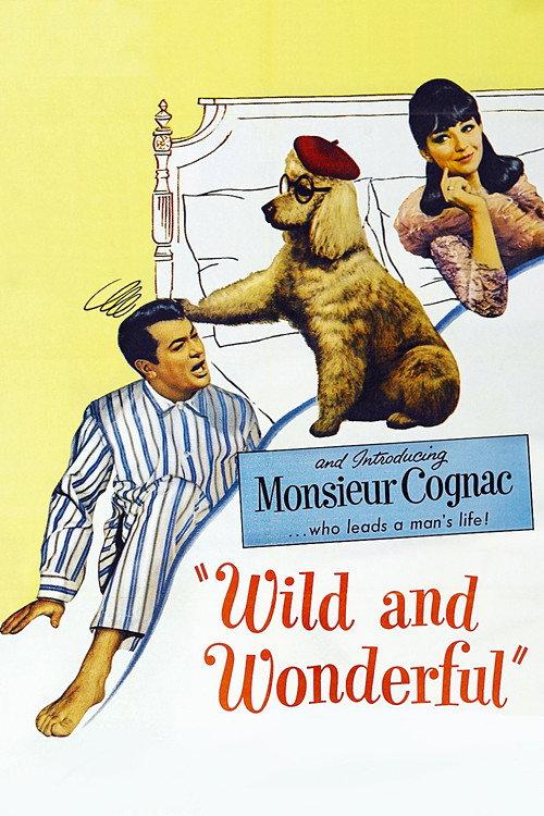 Wild and Wonderful 1964 official movie poster