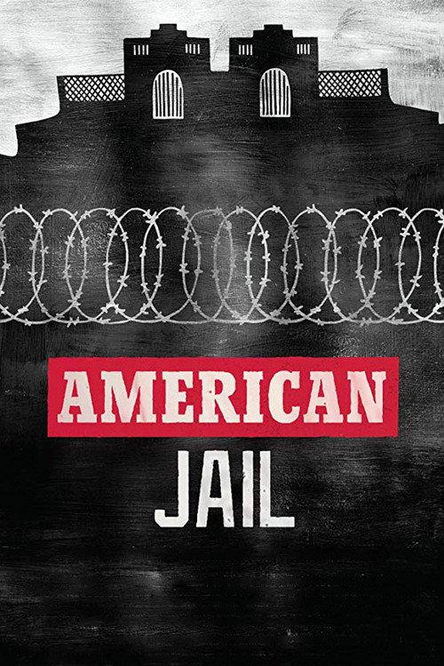 American Jail 2018 official movie poster