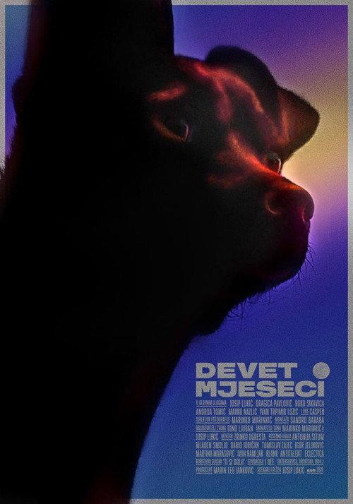 Nine Months 2020 official movie poster