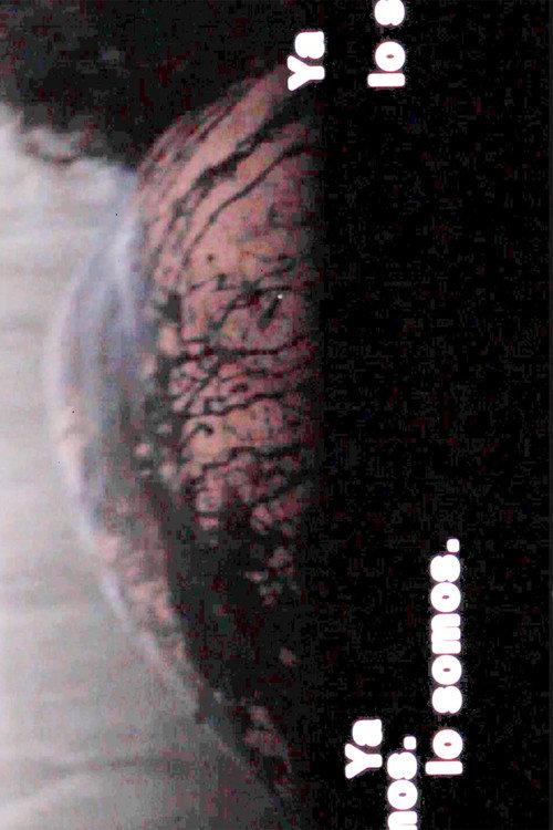 Ya lo somos 2023 official movie poster