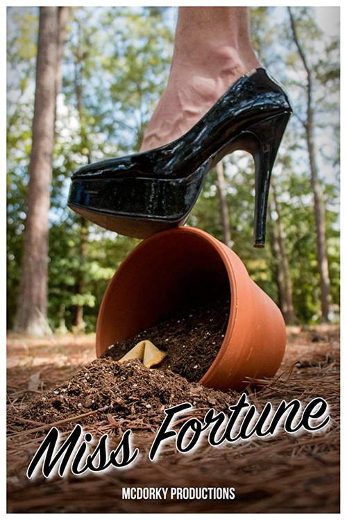Miss Fortune 2016 official movie poster