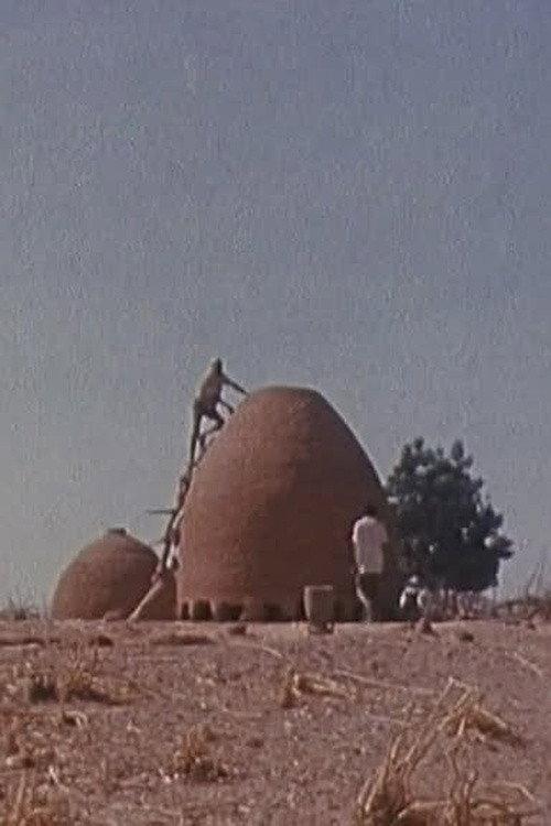 Bawra 1977 official movie poster