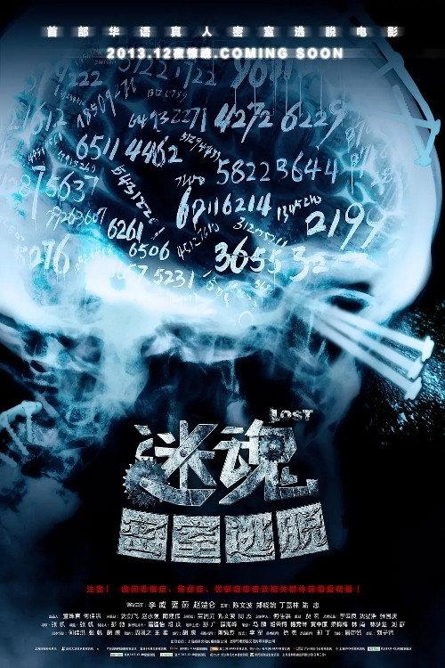 Lost Vertigo 2013 official movie poster