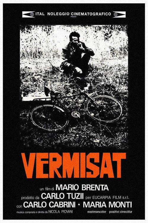 Vermisat 1974 official movie poster