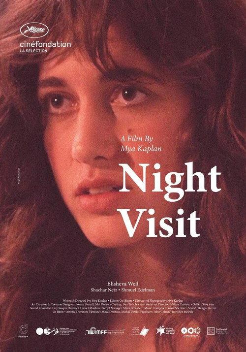 Night Visit 2021 official movie poster