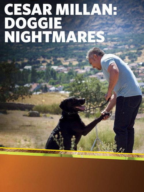 Cesar Millan: Doggie Nightmares 2013 official movie poster