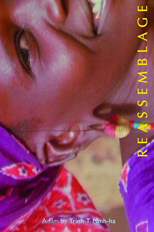 Reassemblage: From the Firelight to the Screen 1983 official movie poster