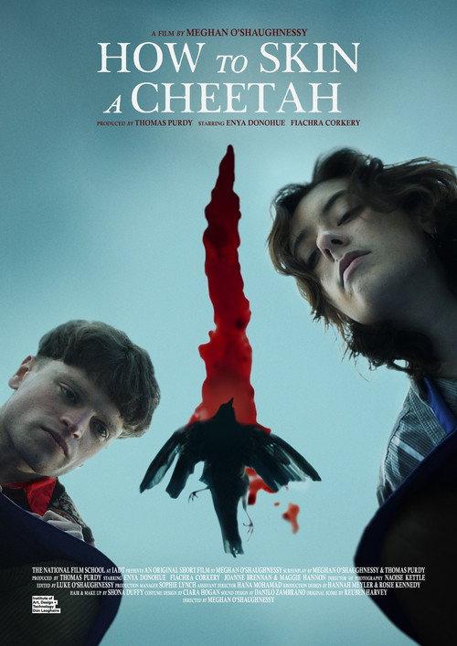 How to Skin a Cheetah 2024 official movie poster