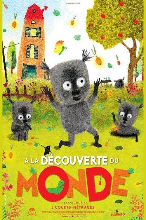 Discovering the World 2017 official movie poster