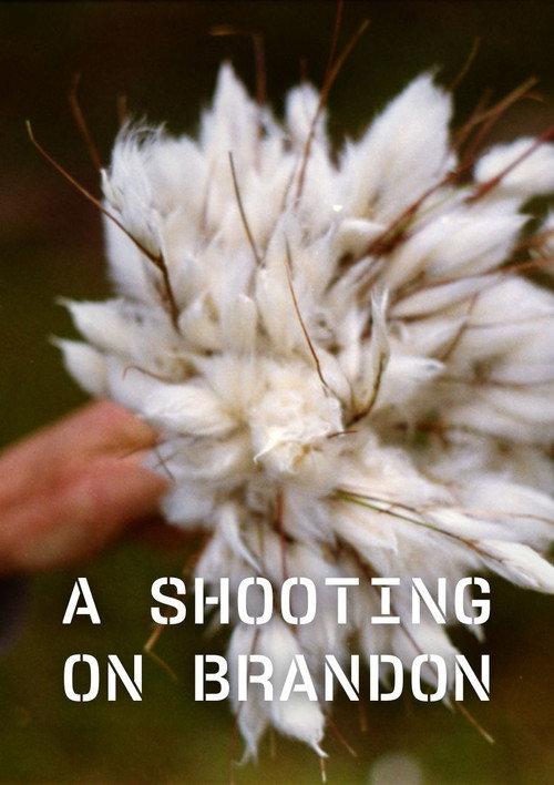 A Shooting on Brandon official movie poster