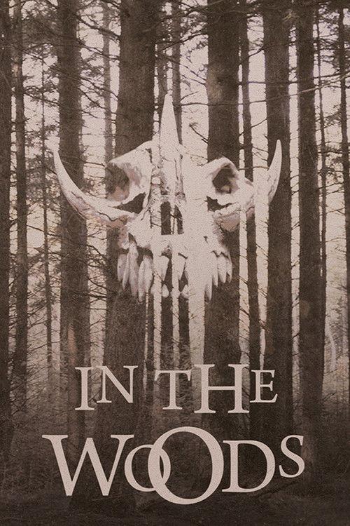In the Woods 1999 official movie poster
