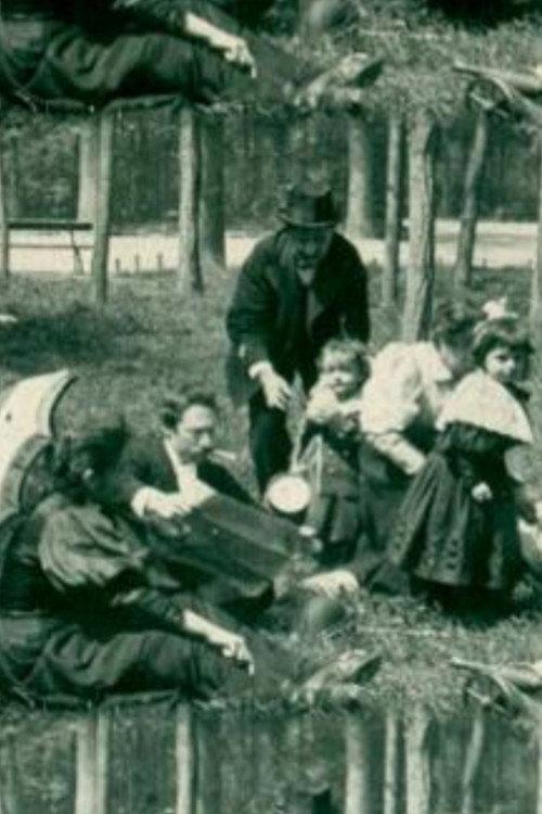 Enfants au bois 1896 official movie poster