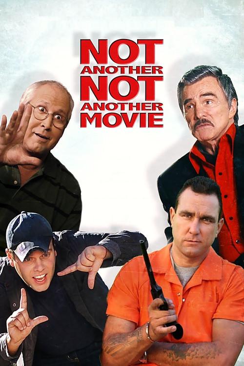 Not Another Not Another Movie 2011 official movie poster