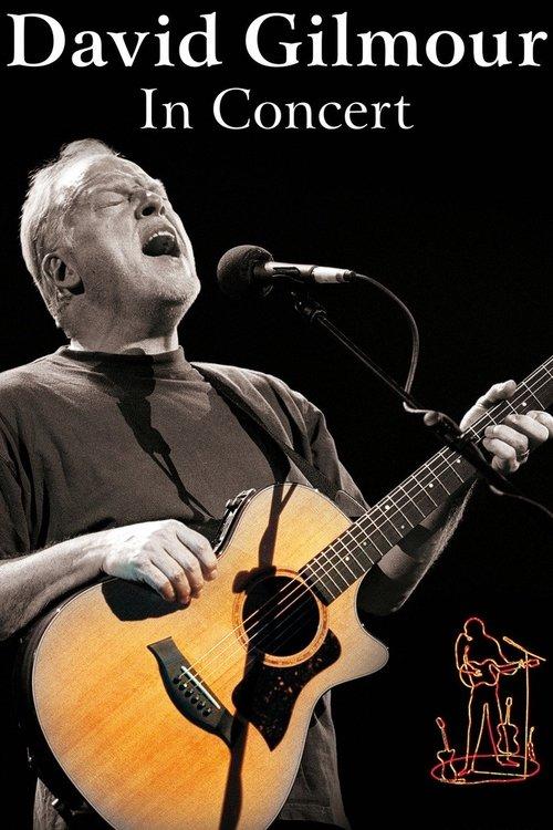 David Gilmour: In Concert 2002 official movie poster