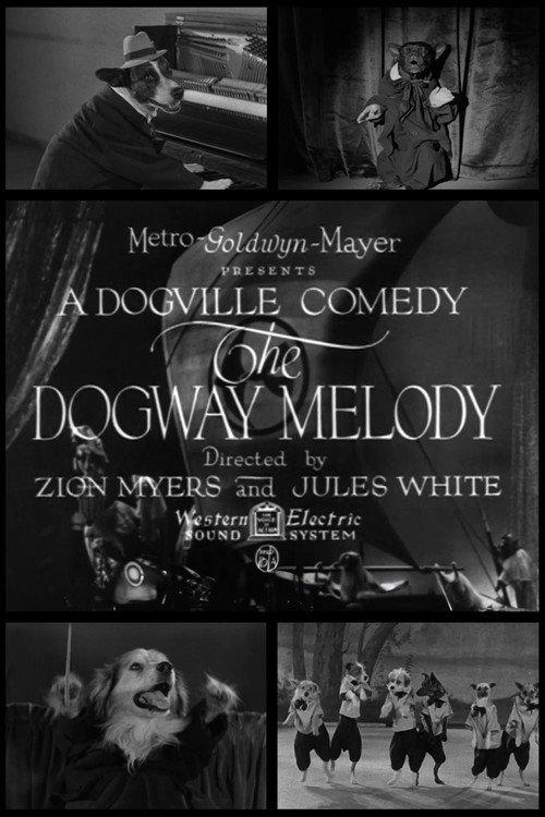 The Dogway Melody 1930 official movie poster