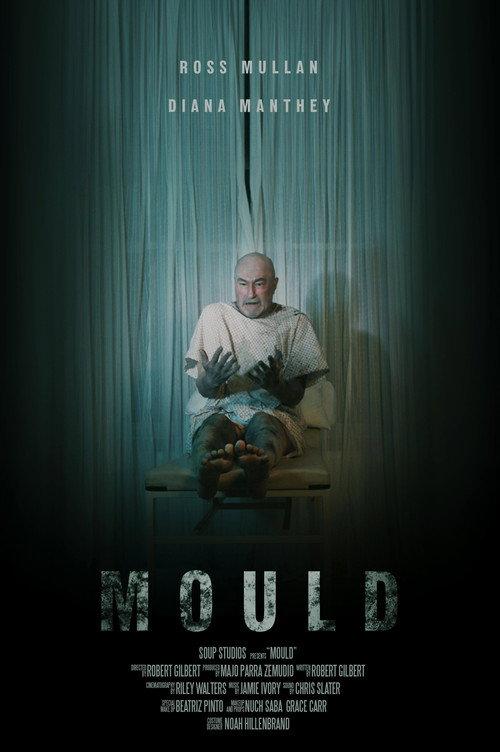 Mould 2024 official movie poster