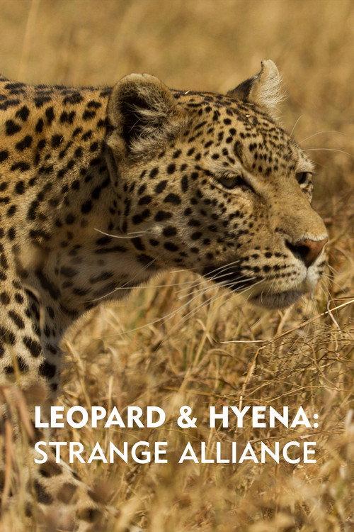 Leopard & Hyena: Strange Alliance 2021 official movie poster
