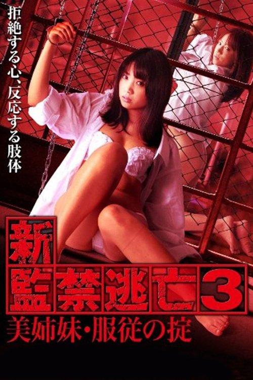 Escape Captivity 3: The Beautiful Sisters' Law of Submission 2010 official movie poster