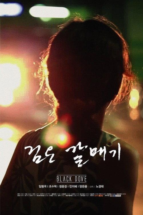 Black Dove 2012 official movie poster