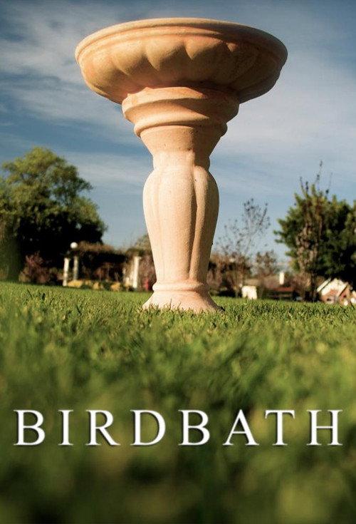 Birdbath 2013 official movie poster