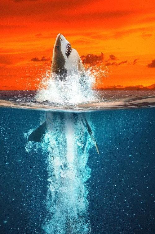 Air Jaws : Mordus de records 2021 official movie poster
