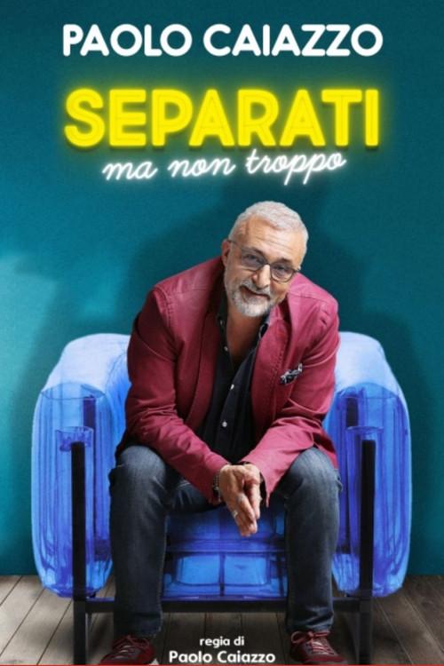 Separati ma non troppo 2012 official movie poster